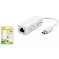 TYPE-C ETHERNET ÇEVİRİCİ USB 2.0